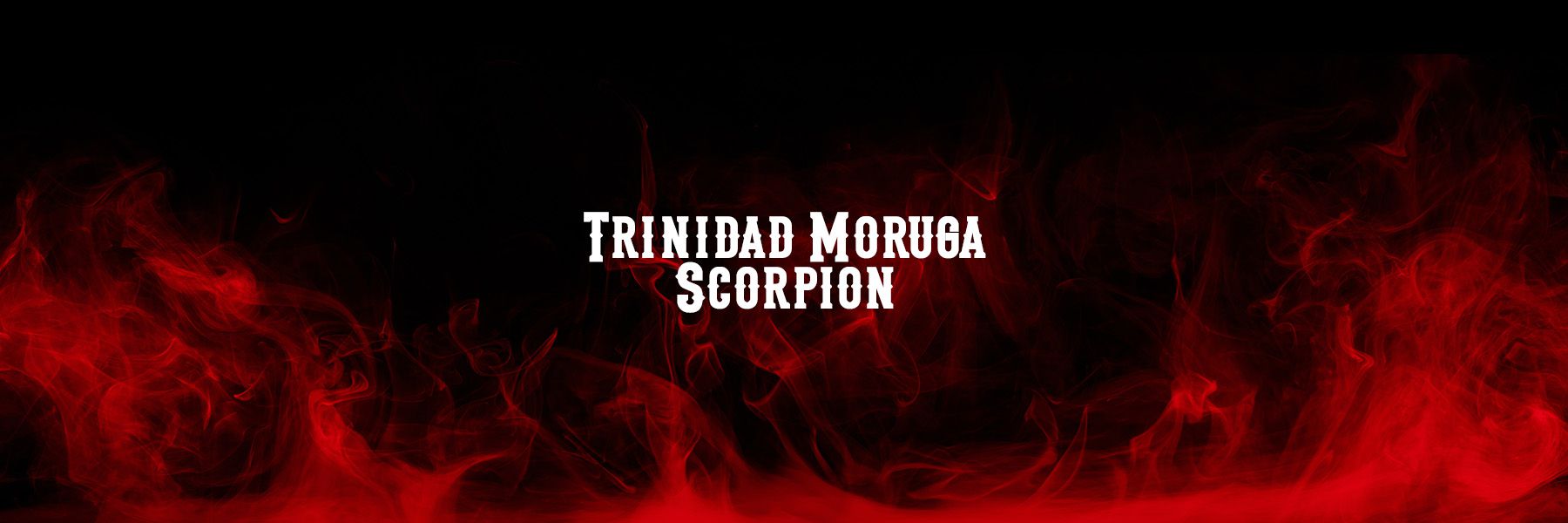 Trinidad Moruga Scorpion