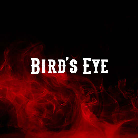 Buy Bird