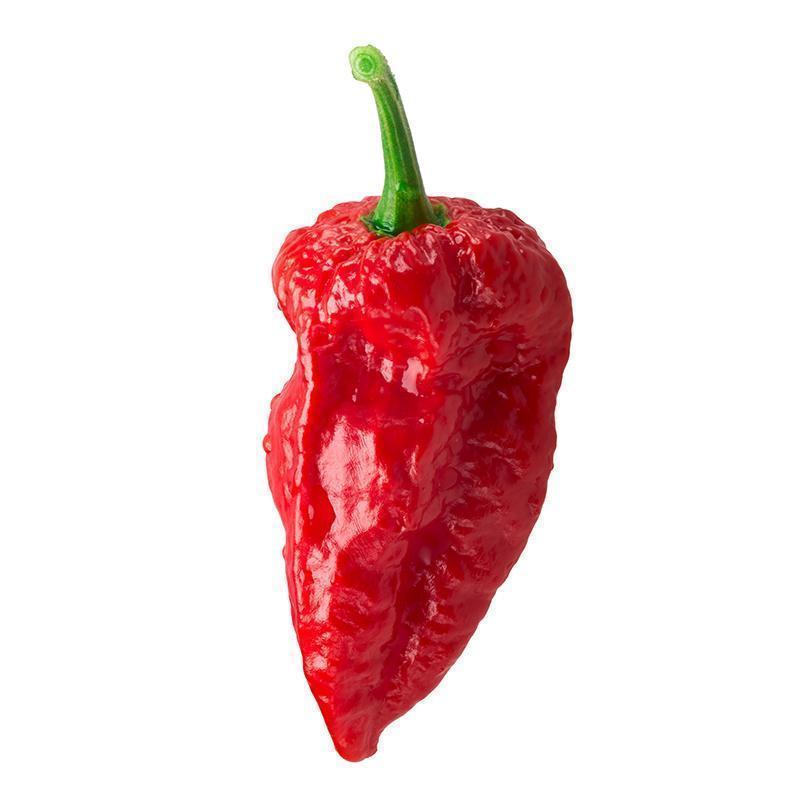 Ghost Pepper Fire Dust Candy Spicy Candy Sonoran Spice 